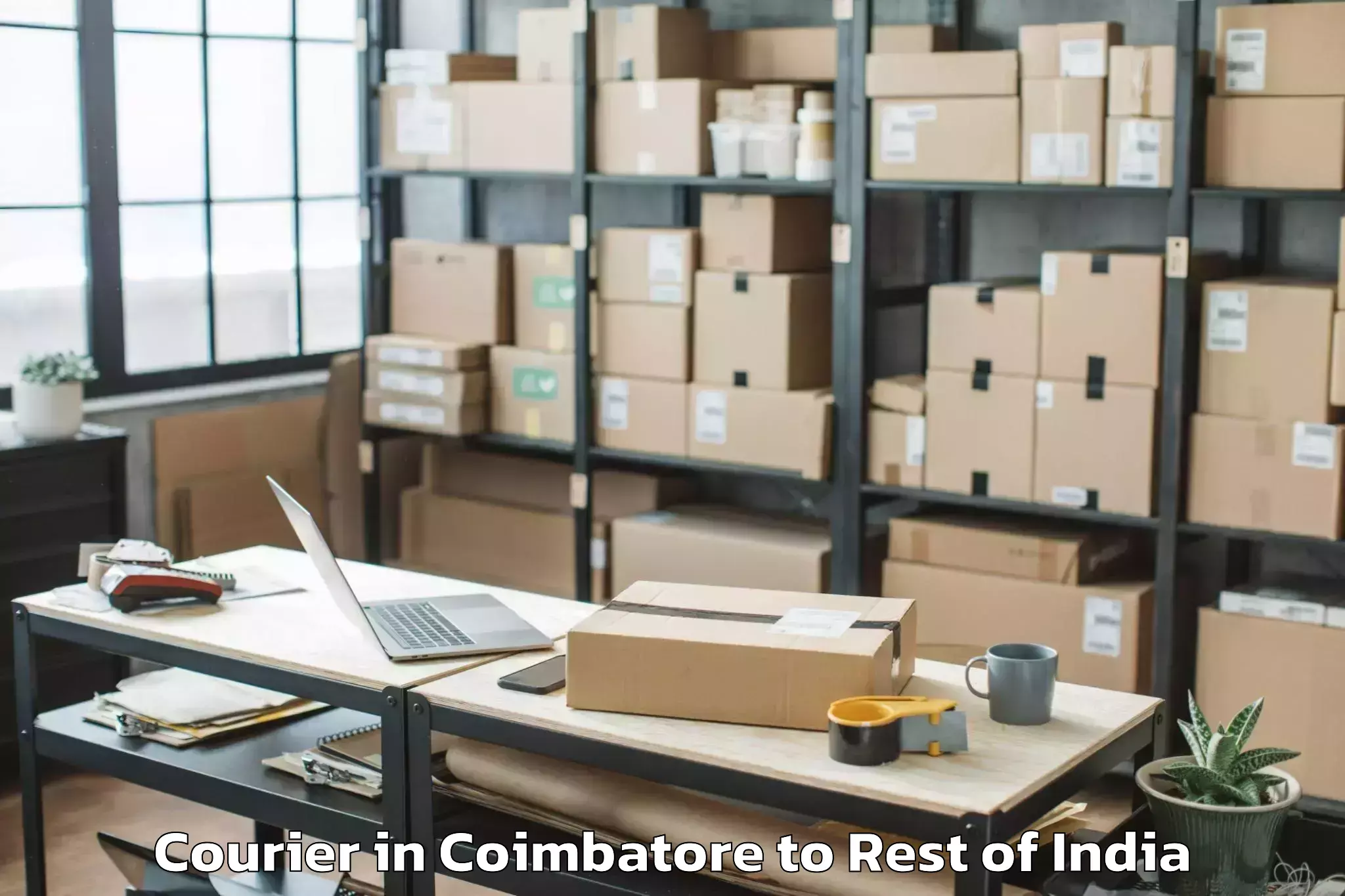 Trusted Coimbatore to Madhya Madarihat Courier